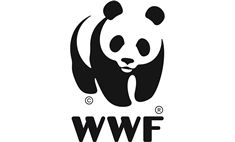 <p>WWF</p> logo