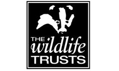 <p>The Wildlife Trusts</p> logo