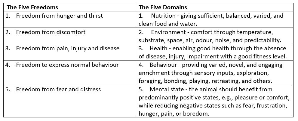 Moving to the 'Five Domains' model for assessing animal welfare